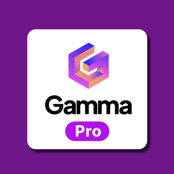 감마 ai pro [Gamma ai Pro 12개월 라이선스]